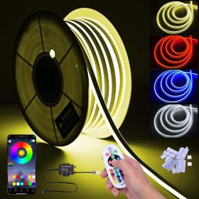 LED Neon Rope Lights with Remote Control 100-FT Color-Changing